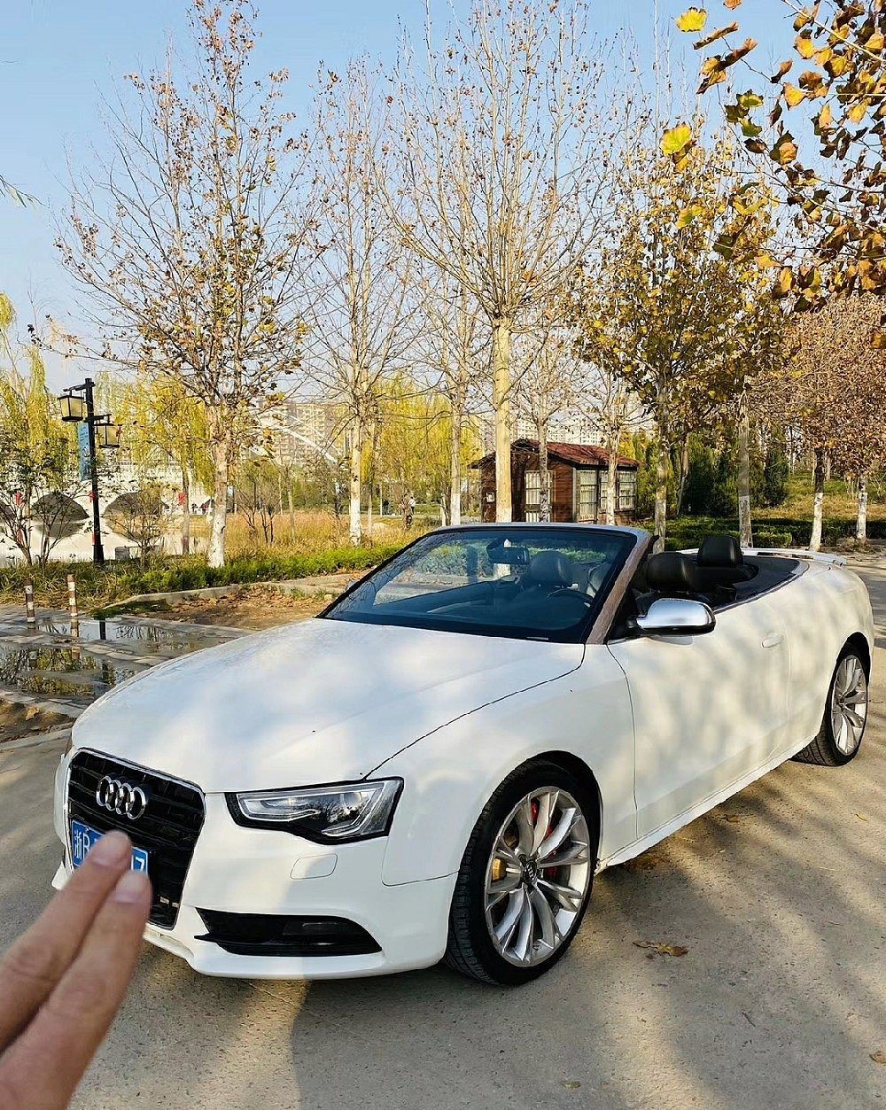 奥迪A5(进口) 2013 款 Cabriolet 40 TFSI quattro风尚版