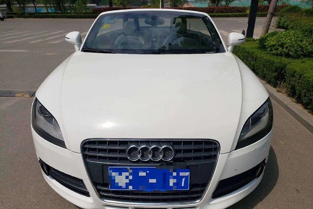 奥迪TT(进口) 2011 款TT Roadster 2.0 TFSI S tronic