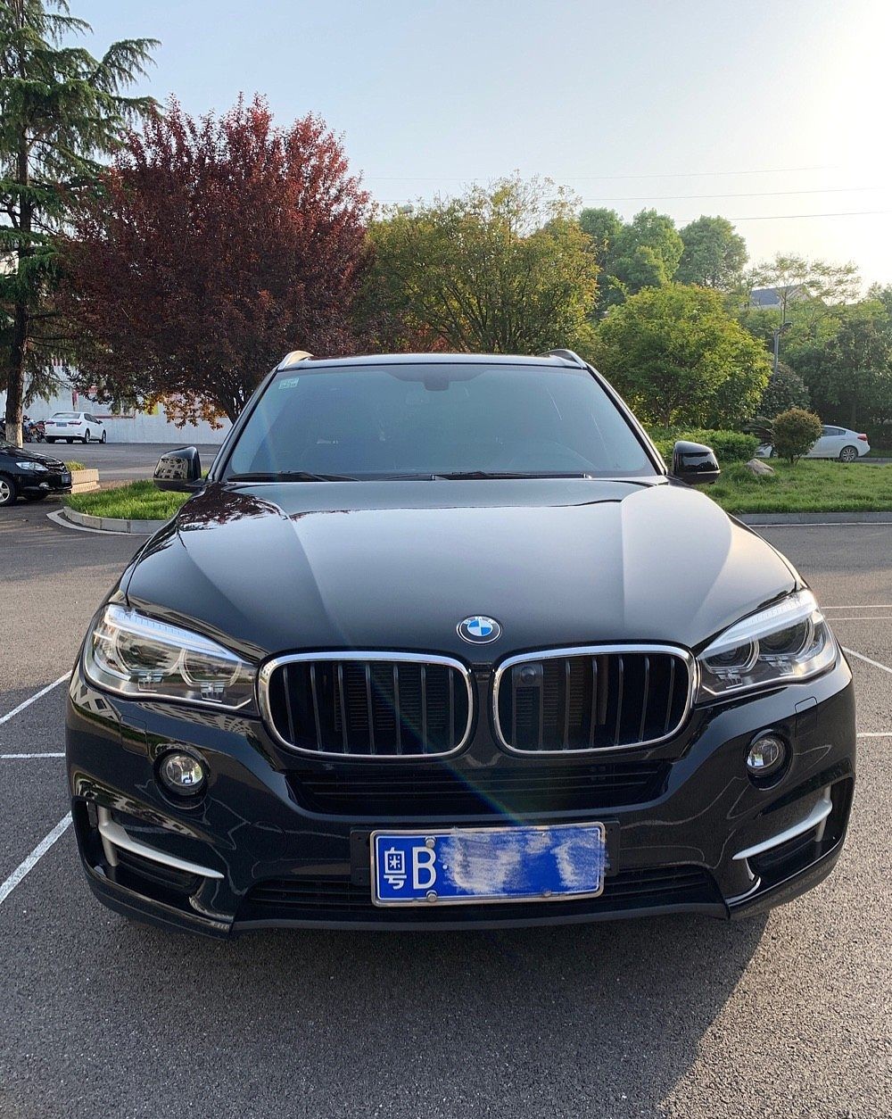 宝马X5(进口) 2017款 xDrive35i M运动版