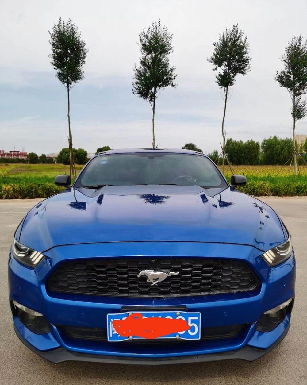 福特Mustang 2017款2.3T 手自一体 性能版